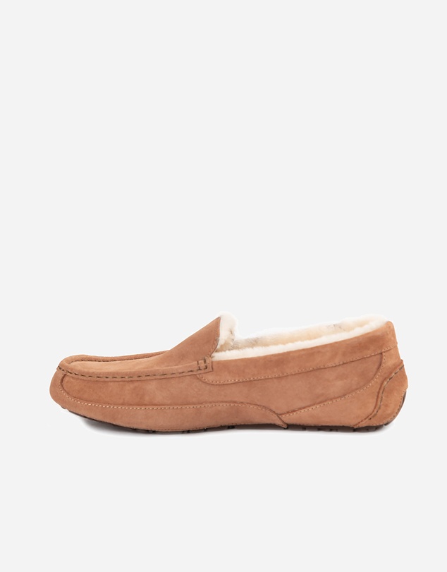 Ozwear Connection Uggs - Ugg Denver Men's Moccassin (Water Resistant)