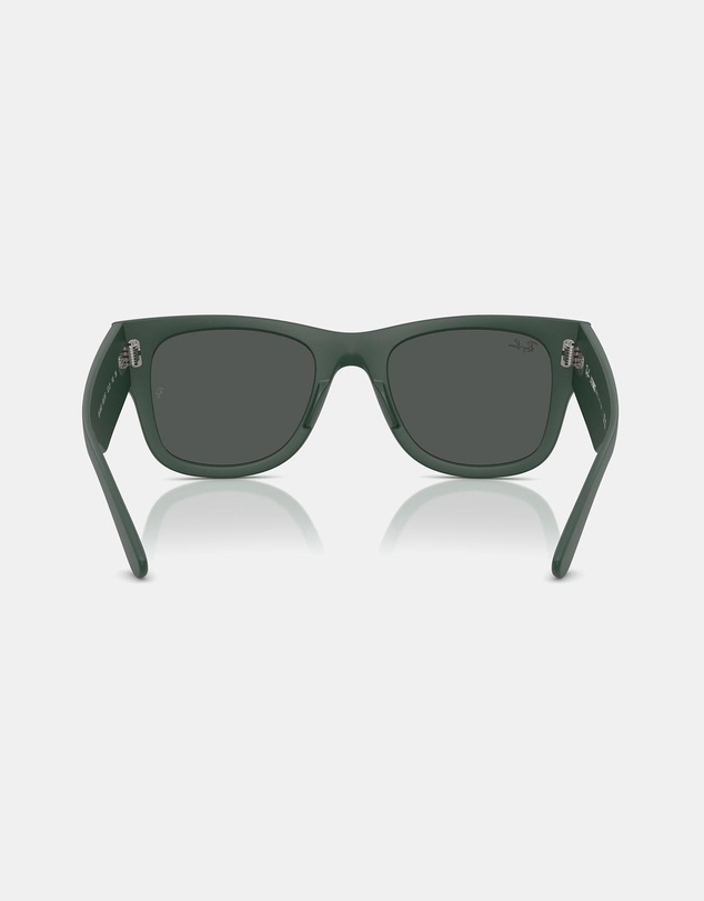 Ray-Ban - 0RB4840S