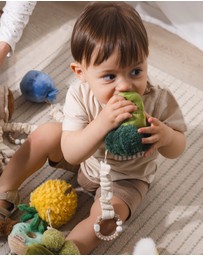 Living Textiles - 2 Pack Mini Market Brunch Stroller Toys - Broccoli & Tomato