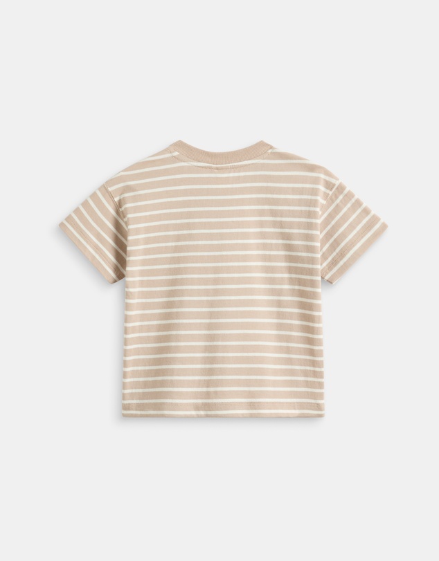 Seed Heritage - Core Stripe Logo Tee