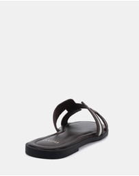 Novo - Sachie Slides