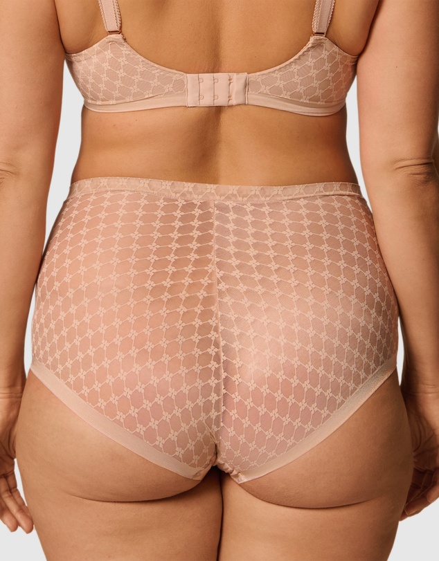 Simone Perele - Plume Control Brief