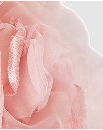 Fillies Collection - Large Flower Fascinator Headband