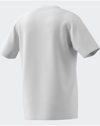 adidas Sportswear - AOTEAROA GRAPHIC TEE Mens