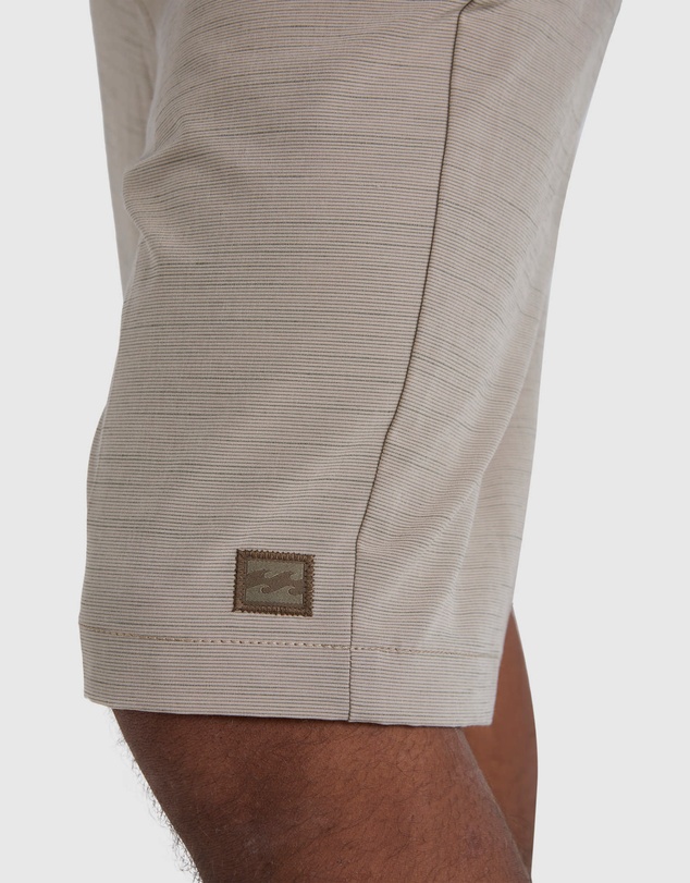 Billabong - Crossfire Submersible Shorts 21