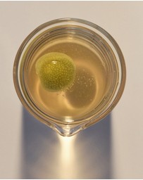 Leif Products - Desert Lime Body Duo LGE