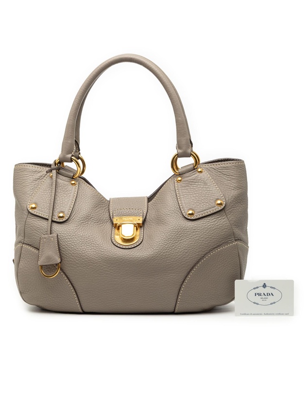 Pre-Loved by Azura Reborn - Pre-Loved Vitello Daino Shoulder Bag