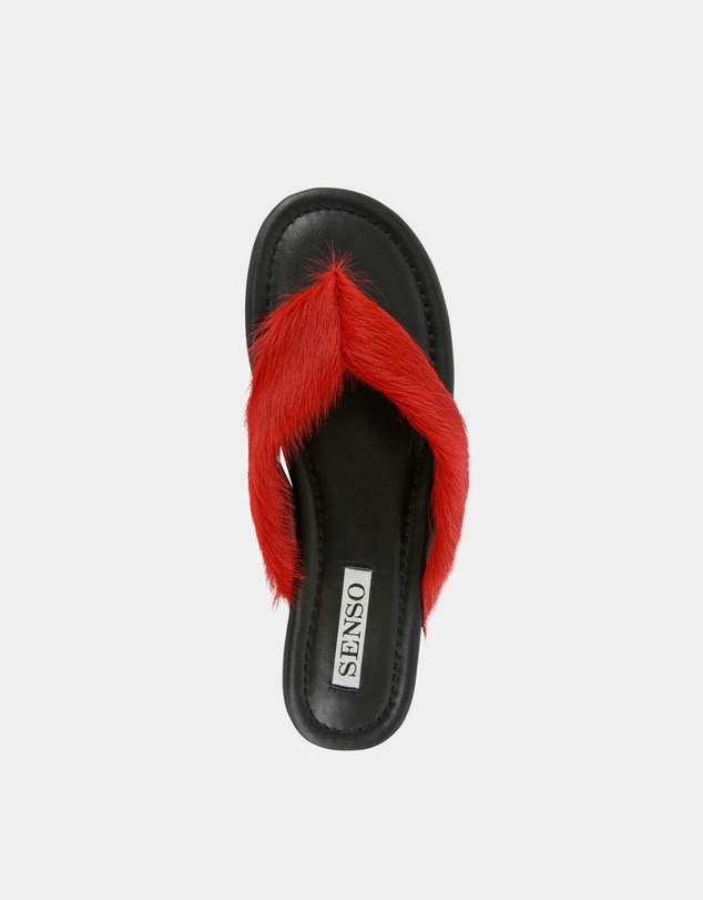 Senso - Hunter I