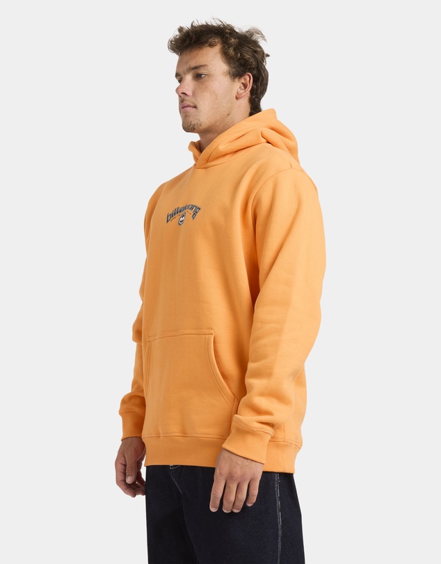 Billabong - Mens Spec Bio Arch Pullover Hoodie
