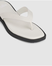 Rollie - Square Toe Thong