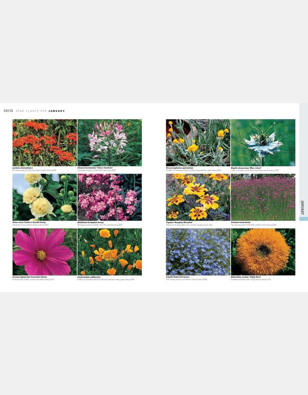 Brumby Sunstate - Gardening Through the Year in Australia