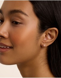 Ted Baker - Adoraa Crystal Sweetheart Stud Earrings