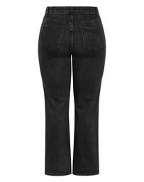 City Chic - Plus size Harley Fit Ivy Straight Leg Regular Jean - black
