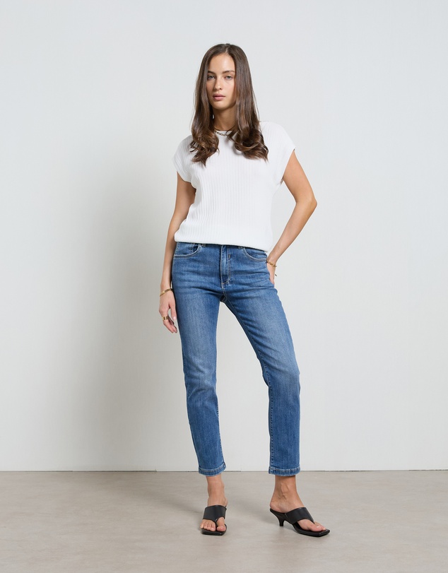 DRICOPER DENIM - Mika Blur Blue Straight Leg Jeans