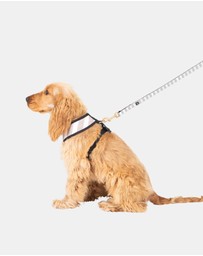 Mog & Bone - Neoprene Dog Bundle- Latte Hampton Stripe