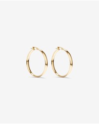 Michael Hill - 30mm Rounded Flat Hoop Earrings in 10kt Yellow Gold