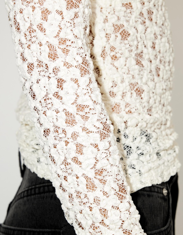 Dazie - Rosie Romance Sheer Lace Long Sleeve Top