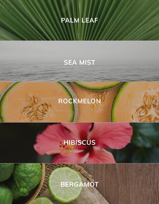 Caitlin Louise Collection - Palm Leaf & Sea Mist Scented Artist Candle