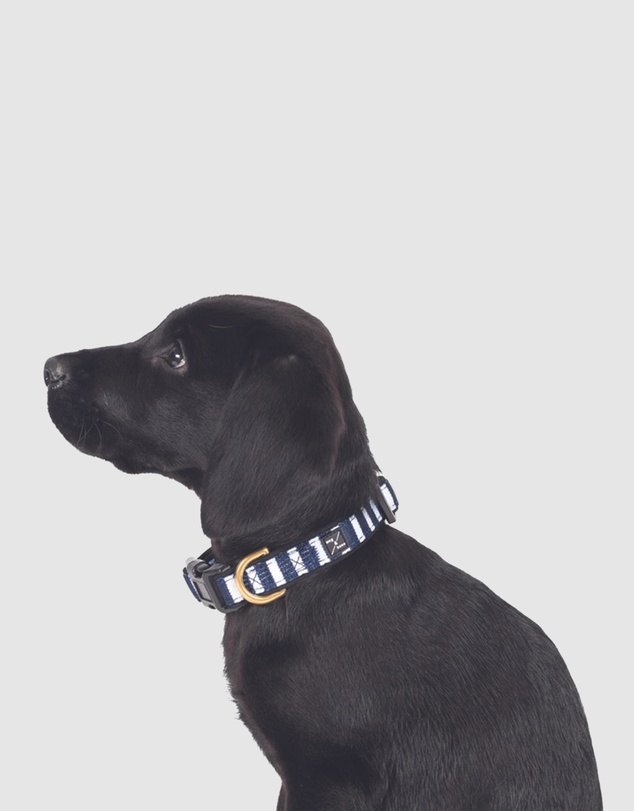 Mog & Bone - Neoprene Collar - Navy Hamptons Stripe Print