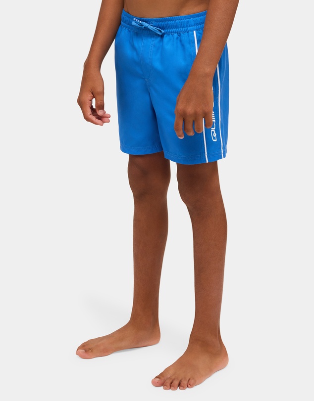 Quiksilver - Boys 8 to 16 Everyday Vert 14
