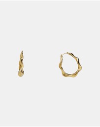 ALDO - Patroklos Hoop Earrings