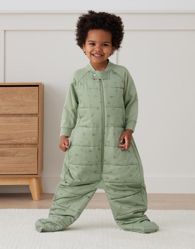 ergoPouch - Sleep Suit Bag 2.5 TOG