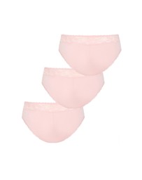 City Chic - Iris 3 Pack Cotton Cheeky Panty