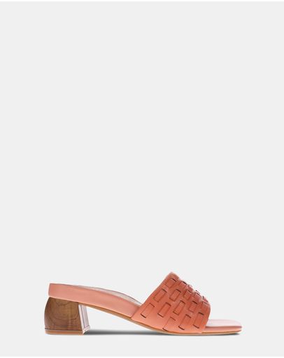 Apricot