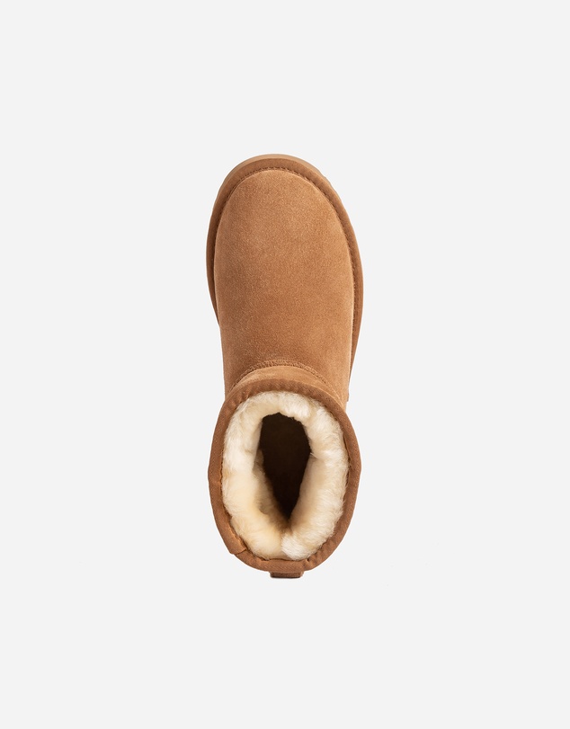 Ozwear Connection Uggs - Ugg Classic Platform Mini Boots
