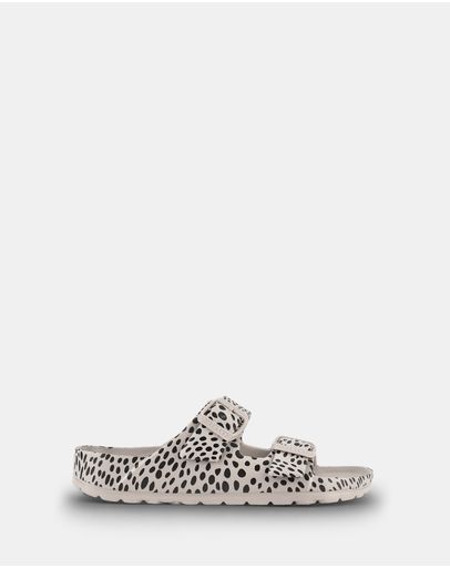 Sand Cheetah