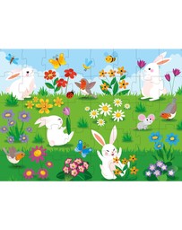 Sassi - Learn all about The Flowers 3D Puzzle and Book Set 40 Pieces