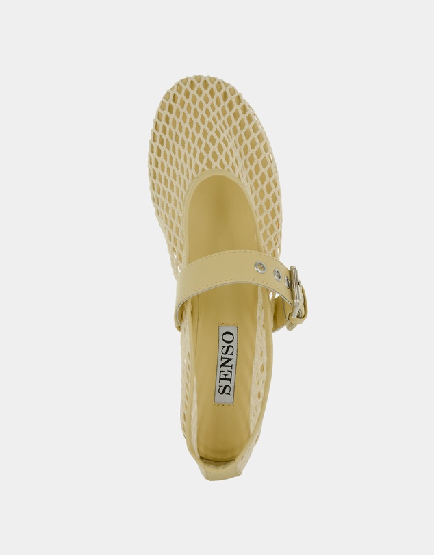 Senso - Carina