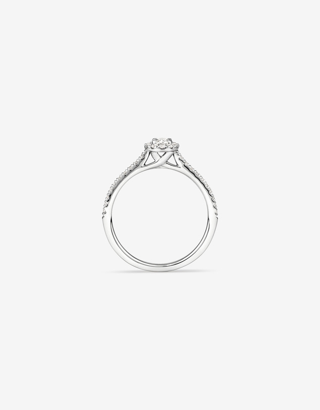 Michael Hill - Oval Halo Ring with 0.50 Carat TW of Diamonds in 14kt White Gold
