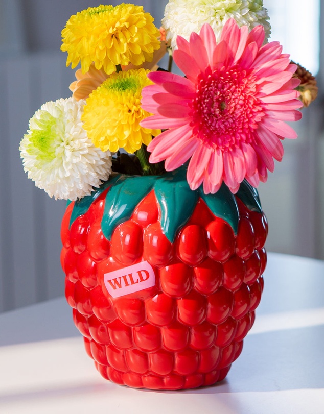 DOIY - Farmers Market Vase Raspberry