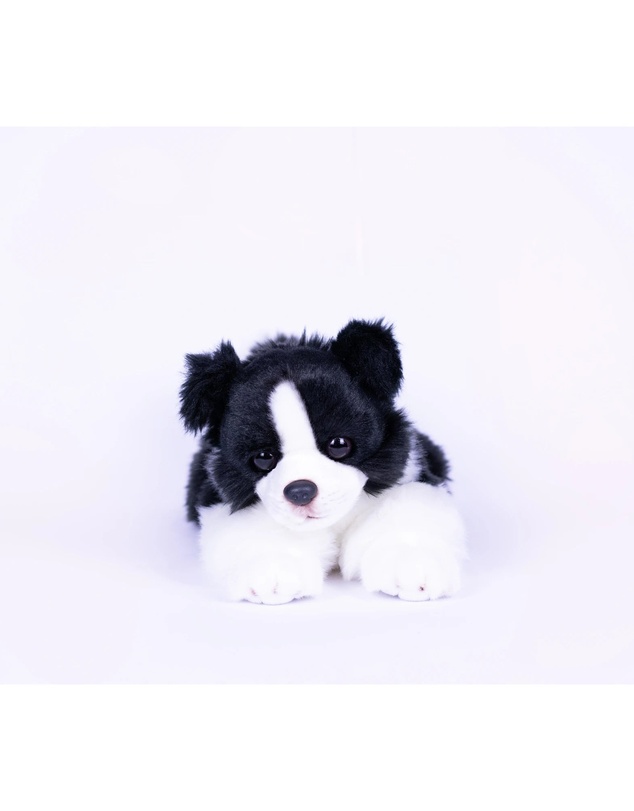 Animal Allsorts - Jasper Border Collie
