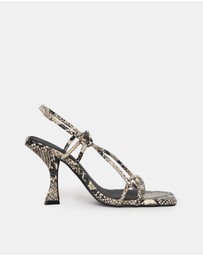 Sol Sana - Verne Heel Python