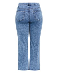 City Chic - Plus size Harley Fit Ivy Straight Leg Regular Jean - mid wash