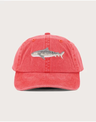 Pallion Point - Kids Tiger Shark Fish Lid