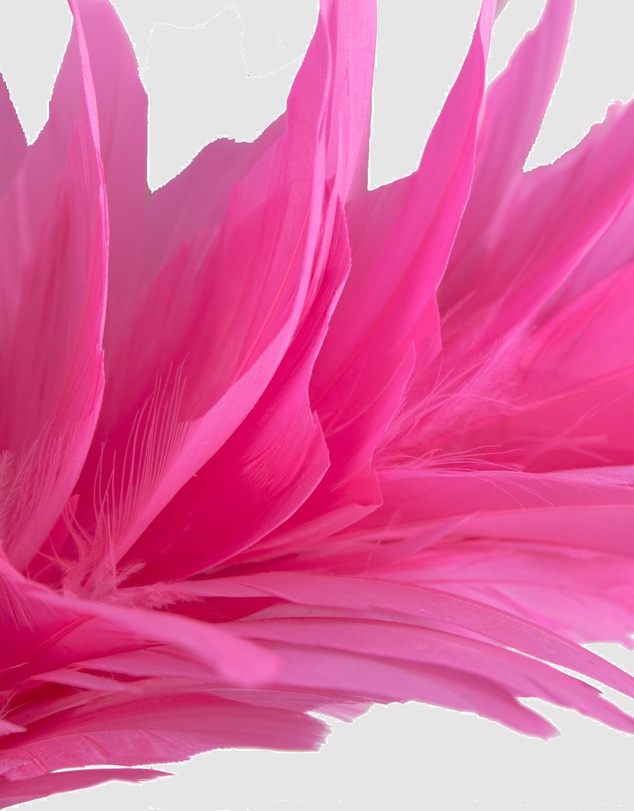 Max Alexander - Modern Hot Pink Racing Fascinator