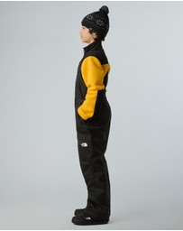 The North Face - Freedom Insulated Bib - Teens