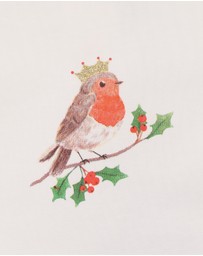 Bebe by Minihaha - Christmas Festive Red Robin Bodysuit and Shorts Set - Babies