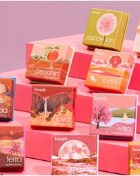 Benefit Cosmetics - Sunny Blush