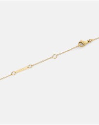 Daniel Wellington - Mirelle Solitaire Necklace