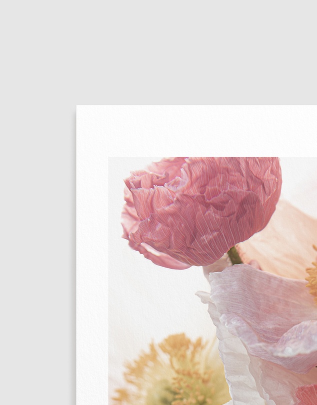 Olive et Oriel - Luxe Poppy II Art Print