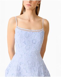 Elliatt - Lacy Tulip Mini Dress
