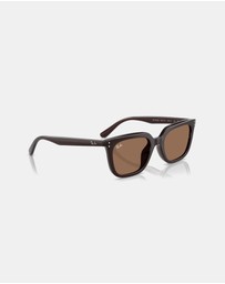Ray-Ban - 0RB4439D