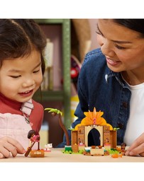 LEGO - 43282 Village House & Boat