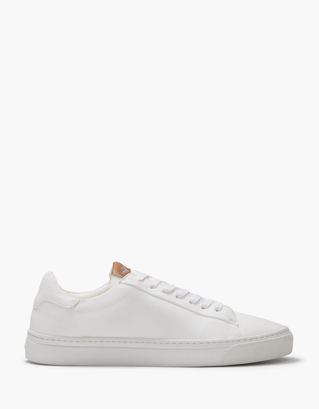 Aquila - Deco 2.0 Sneakers
