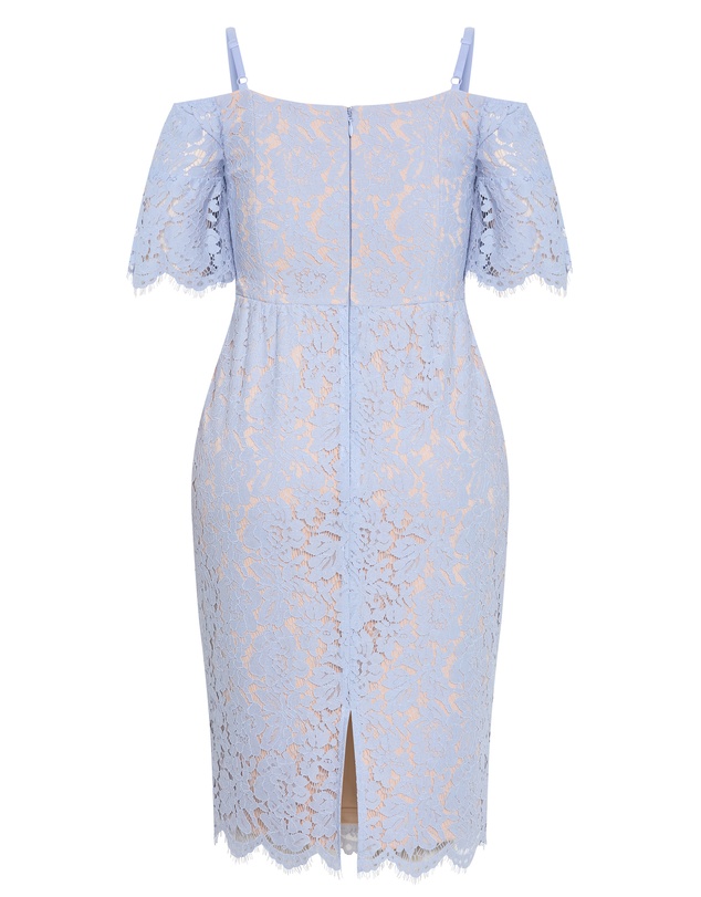 City Chic - Plus size Amelia Lace Midi Dress - powder blue