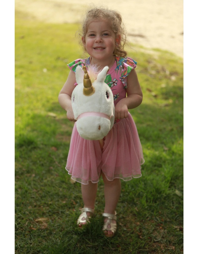 Freya Lane - Sparkle Unicorn Hobby Horse V2